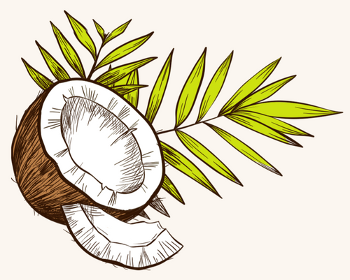 Coconuts P.R.